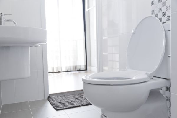 Cost of Toilet Relocation in Valrico