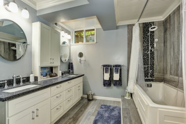 Basement Bathroom Remodeling in Valrico
