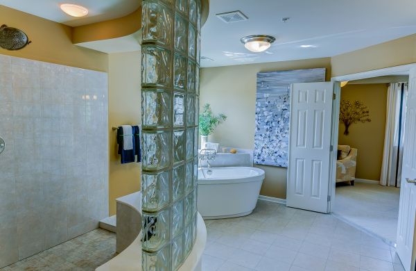 Basement Bathroom Renovation in Valrico