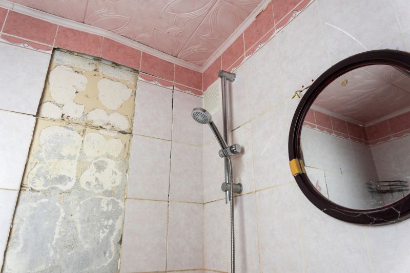 Top Shower Remodeling Companies in Tampa, FL